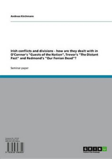 Picture of Irish Conflicts and Divisions