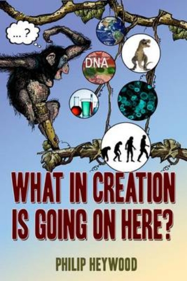Picture of What in Creation Is Going on Here?