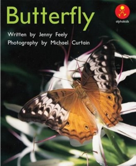 Picture of Ak L3: Butterfly