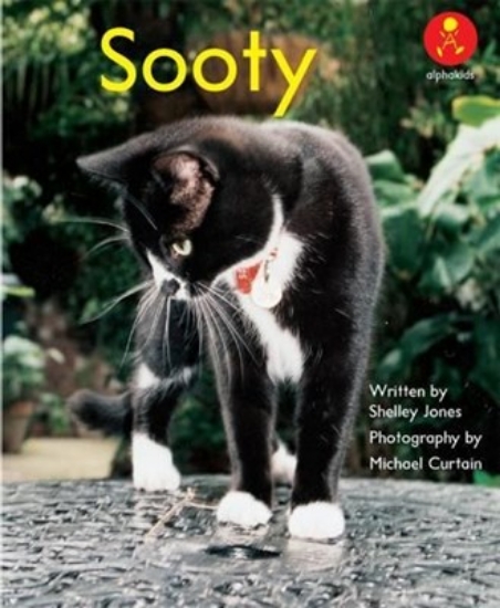 Picture of Ak L12: I'M On The Phone