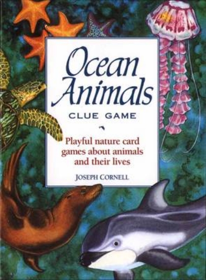 Picture of Ocean Animals Clue Game