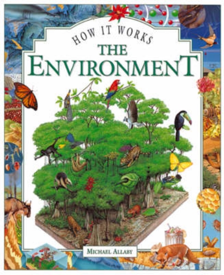 Picture of The Environment, The