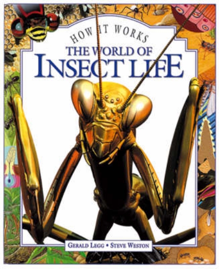 Picture of World of Insect Life