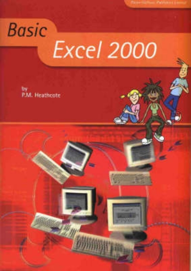 Picture of Basic Excel 2000