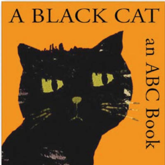 Picture of A Black Cat