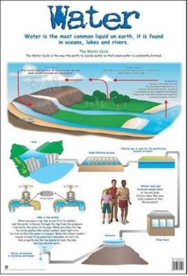 Picture of Water: Gr 4 - 7