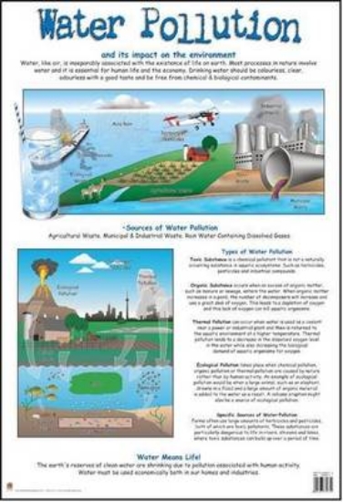 Picture of Water Pollution