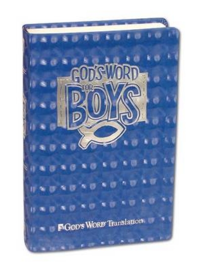 Picture of God's Word for Boys