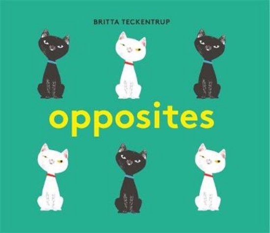 Picture of Britta Teckentrup's Opposites