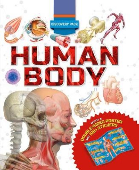 Picture of Discovery Pack: Human Body
