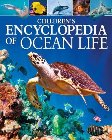 Picture of Children's Encyclopedia of Ocean Life