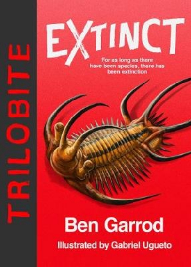 Picture of Trilobite