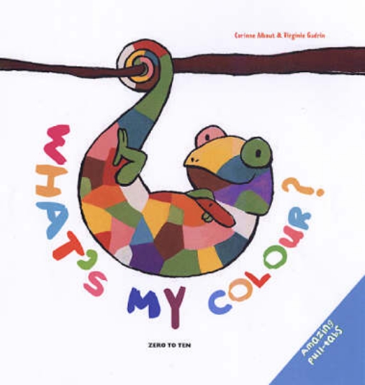 Picture of What's My Colour?