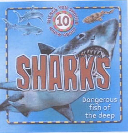 Picture of 10 Things You Should Know About Sharks