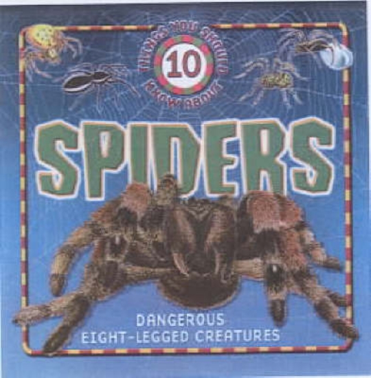 Picture of 10 Things About Spiders
