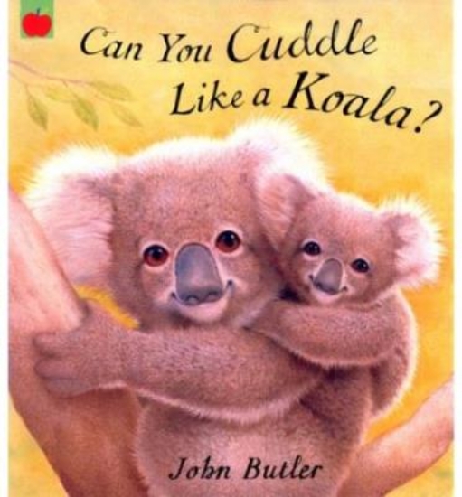 Picture of Can You Cuddle Like A Koala?