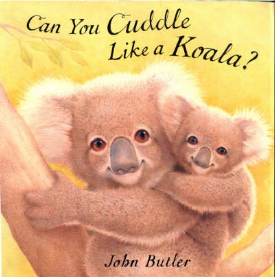 Picture of Can You Cuddle Like A Koala?