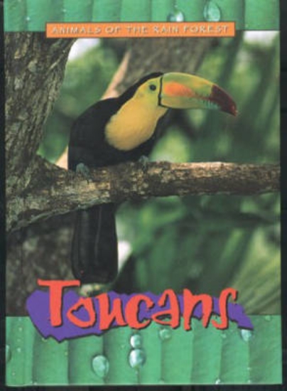 Picture of Animals of the Rainforest: Toucans
