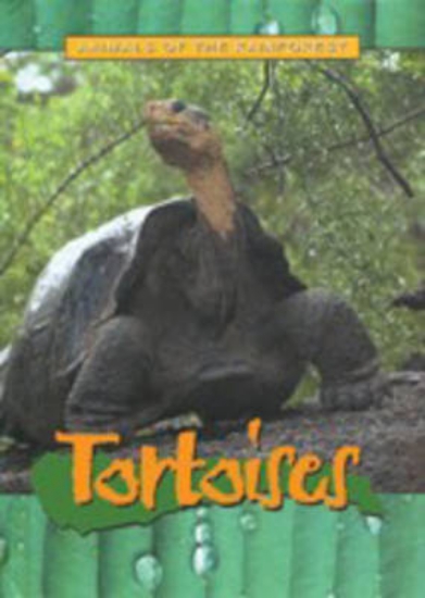 Picture of Animals of the Rainforest: Tortoises