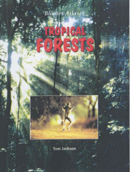 Picture of Tropical Forest