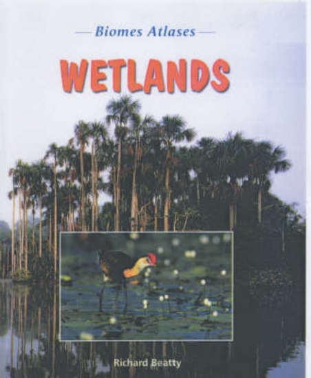 Picture of Wetlands