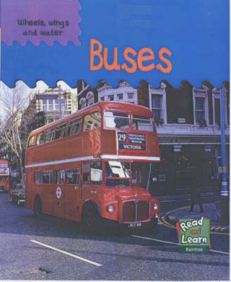 Picture of Buses
