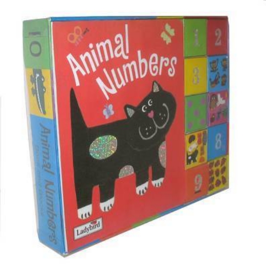 Picture of Animal Numbers Book and Blocks