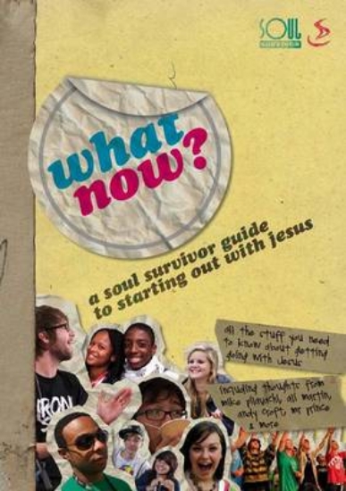 Picture of What Now?