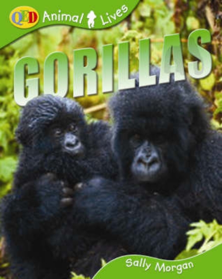Picture of Gorillas