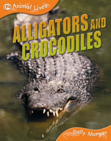 Picture of Crocodiles and Alligators