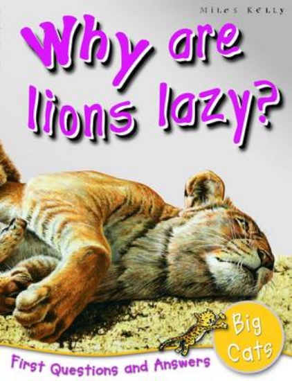Picture of 1st Questions and Answers Big Cats