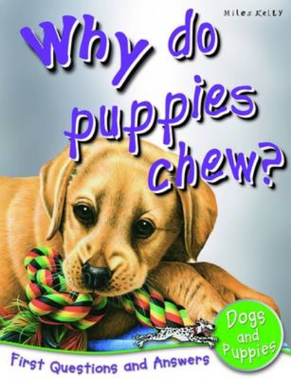 Picture of Why Do Puppies Chew?