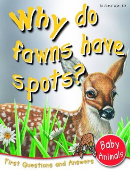 Picture of Why Do Fawns Have Spots?