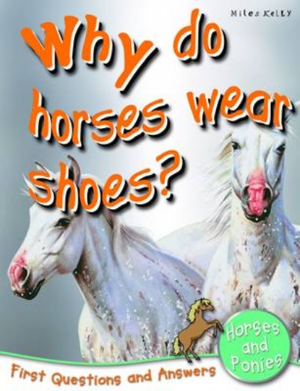 Picture of Why Do Horses Wear Shoes?