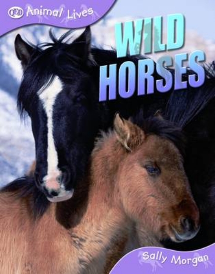 Picture of Wild Horses