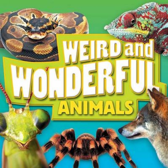 Picture of Weird and Wonderful Animals