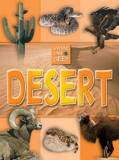 Picture of Desert