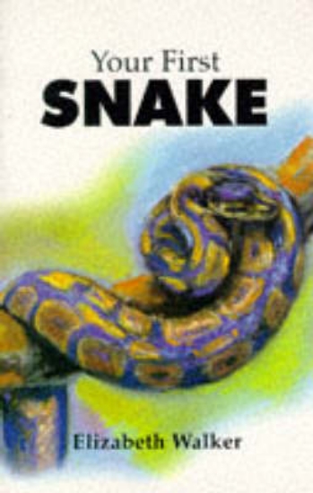 Picture of Your First Snake