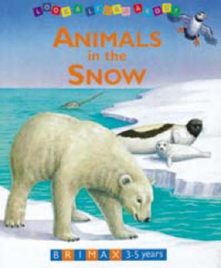 Picture of Animals in the Snow