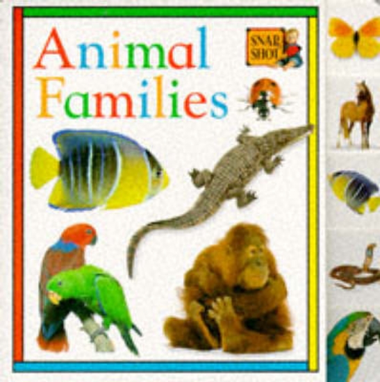 Picture of Snapshot Tab Board Book: 8 Animal Families