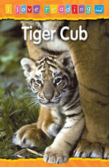 Picture of Tiger Cub