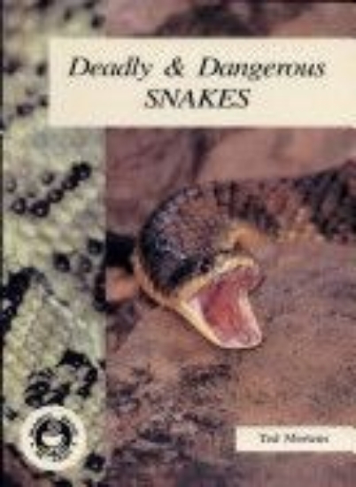 Picture of Deadly &amp; Dangerous Snakes: Small Book