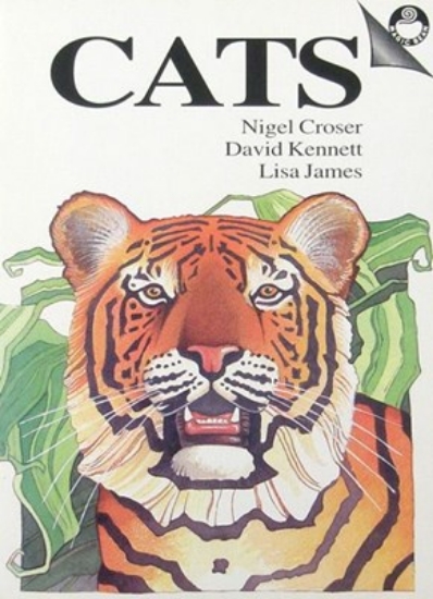 Picture of Cats: Small Book