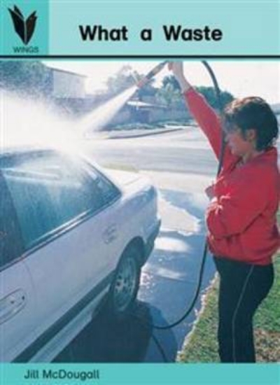 Picture of What a Waste