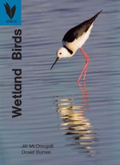 Picture of Wetland Birds