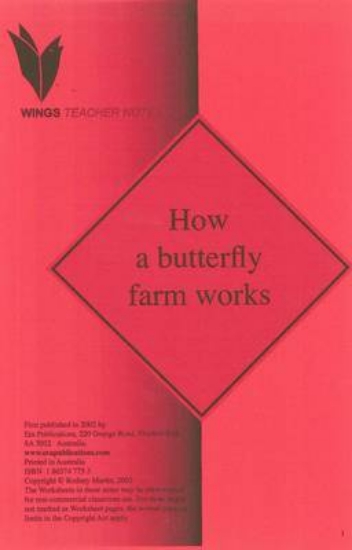 Picture of A Magnifying Glass: Levels 18-20