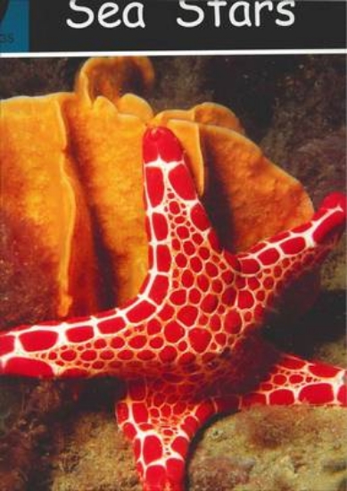 Picture of Sea Stars: Levels 15-17