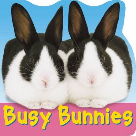 Picture of Busy Bunnies