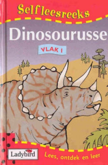 Picture of Dinosourusse