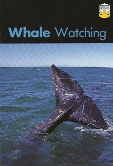 Picture of Whale Watching